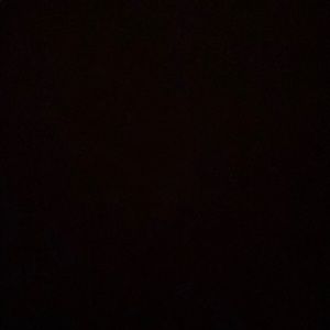 Meet your Posher, Torrence